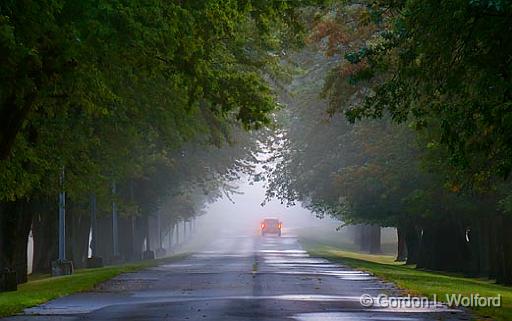 Tree-Lined Lane_20331.jpg - Photographed near Smiths Falls, Ontario, Canada.